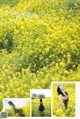 A woman in a field of yellow flowers.